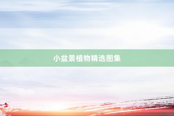 小盆景植物精选图集