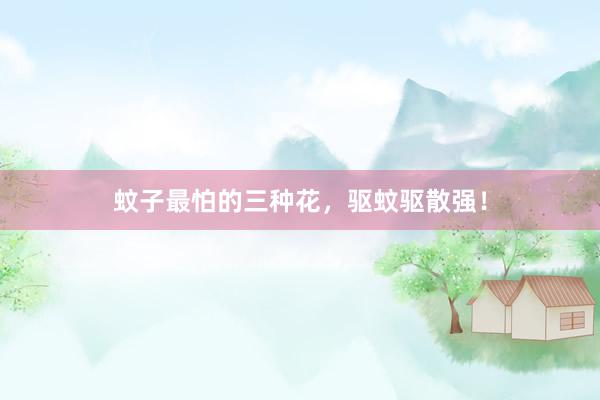 蚊子最怕的三种花，驱蚊驱散强！
