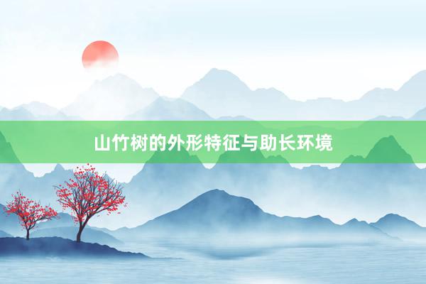 山竹树的外形特征与助长环境